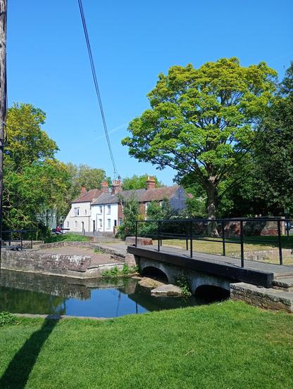 The river Stour in Canterbury as part of an old mill, green grass in foreground, houses in background, also trees, blue sky.