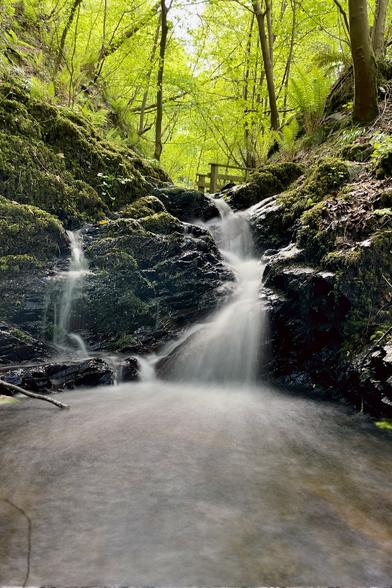 Stream in woodland