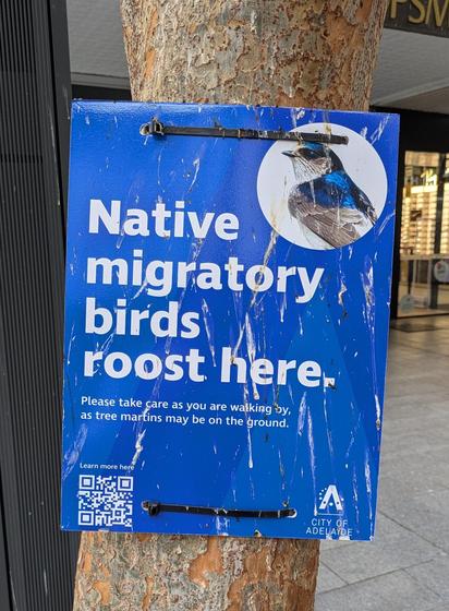 Sign attached to a tree advising that native migratory birds roost here, covered in bird poo.