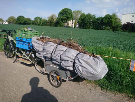 Ein Longtail mit Hänger steht an einer Wiese. Der Hänger ist lang beladen mit Grünschnitt. Eingewicklt in eine Abdeckung für Motorräder.
Auf dem Longtail stehen noch zwei Kisten auf dem Gepäcktäger.