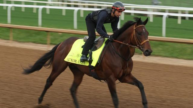 Horses and latest odds for Churchill Downs run