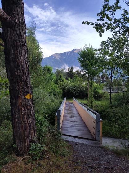 Foto. Hölzerne Brücke zwischen Bäumen, im Hintergrund ein Berg.