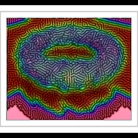 a typical Reaction Diffusion image, multicolored, torus-like