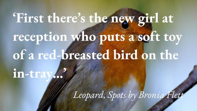 A close-up of a robin, with a quote from Bronia Flett's short story Leopard, Spots: 'First there's the new girl at reception who puts a soft toy of a red-breasted bird on the in-tray…'