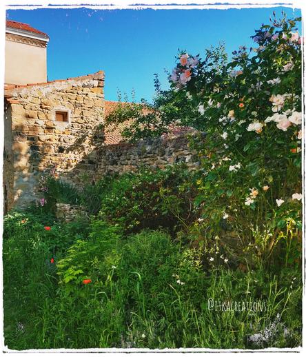 Petit jardin verdoyant avec des herbes hautes et des fleurs, entouré de murs de pierres.