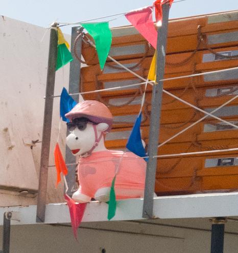 An inflatable cow wearing sunglasses and with a cycle helmet on the Cowes Chain Ferry.