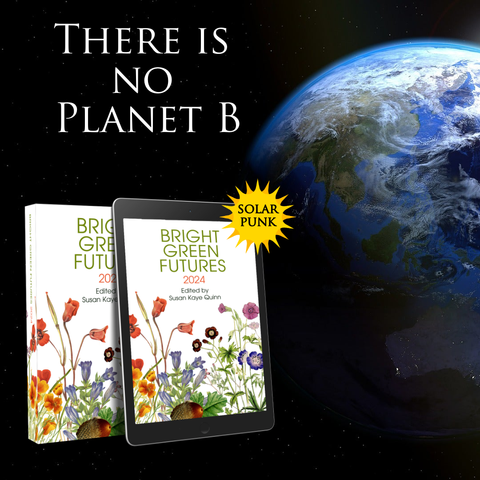 image of earth from space
There s no Planet B
Bright Green Futures anthology
solarpunk
