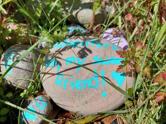 a cluster of painted stones tucked among some outdoor greenery; the featured one, with a surface lightly decorated with shadows of surrounding grasses and ferns, proclaims in turquoise text "Adventure on, my sweet friend! <3 "