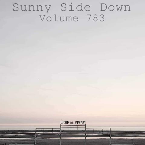 Sunny Side Down
Volume 783