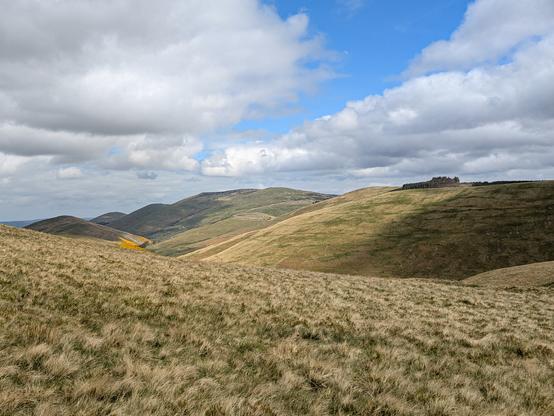 Colour photograph of a stretch of rough grass, with hills receding into the distance. A tiny patch of gorse provides a splash of bright coloured in the mid ground. The sky is mostly big white clouds, with a little blue.