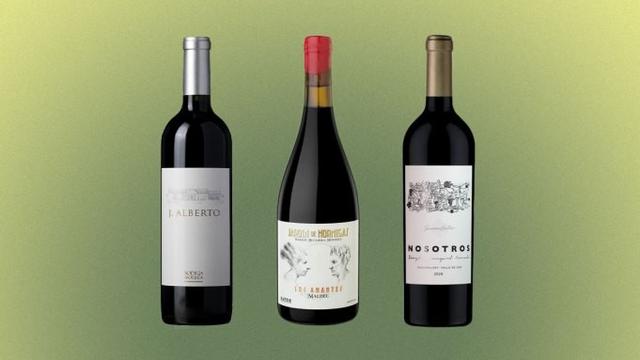 The 7 Best Malbec From Argentina to Buy Now in 2025