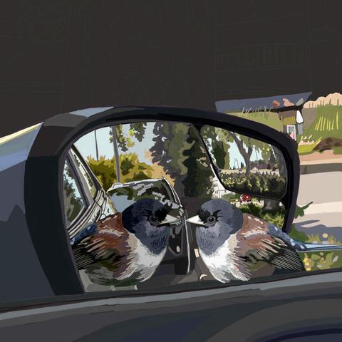 I drew the interior edge of the car door and some of the background behind the mirror.