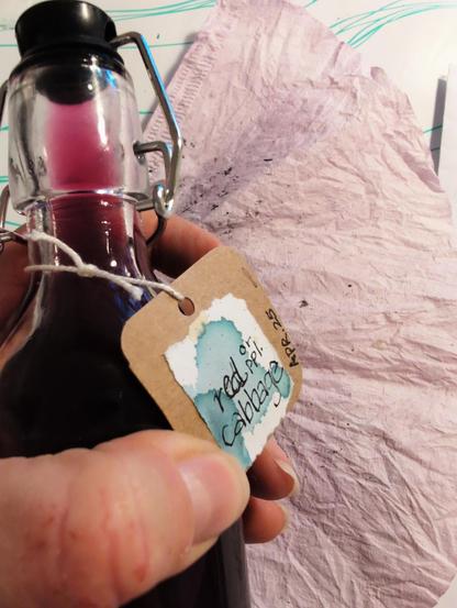 Hand holding a glass bottle with a tag reading, red cabbage, April 2025. The ink inside the bottle is magenta colored.  To the left of this is a coffee filter used to get the liquid out of the cooked cabbage. It's a pale lavender color.