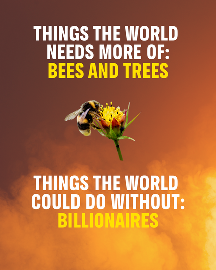 Things the world 

needs more of:

bees and trees

Things the world 

COULD DO WITHOUT:

BILLIONAIRES