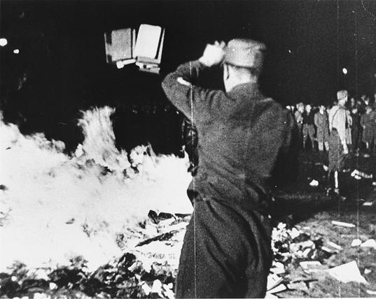 A nazi throws books onto the bonfire as people watch.