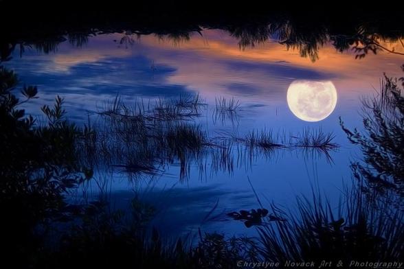 Crickets sing, an owl hoots and the moon and clouds are reflected upon the surface of the river between the reeds.