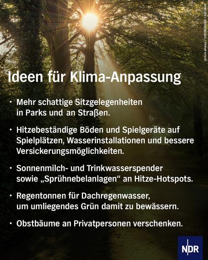 Foto: Sonne scheint durch Bäume
Text: Ideen für Klima-Anpassung
•	Mehr schattige Sitzgelegenheiten 	in Parks und 	an Straßen.  
•	Hitzebeständige Böden und Spielgeräte auf	Spielplätzen, Wasserinstallationen und bessere	Versickerungsmöglichkeiten.
•	Sonnenmilch- und Trinkwasserspender 	sowie „Sprühnebelanlagen“ an Hitze-Hotspots.
•	Regentonnen für Dachregenwasser, 	um umliegendes Grün damit zu bewässern.
•	Obstbäume an Privatpersonen verschenken.