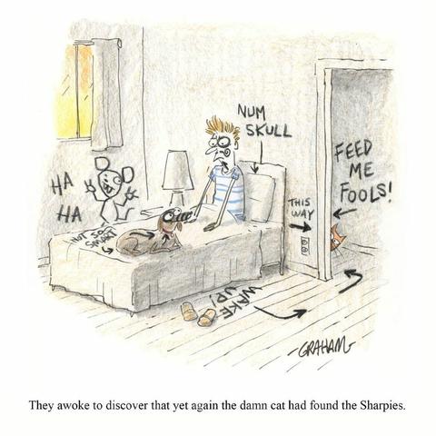 A cartoon illustration of man and dog waking up in bed covered in black marker by a cat hiding in the hallway. Caption reads "They awoke to discover that yet again the damn cat had found the Sharpies."