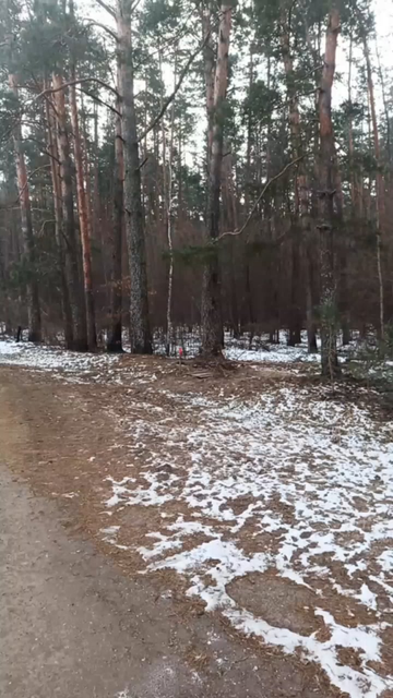 国境地域でサービスを提供するロシアの徴兵は、爆発するまで地面に沿って対戦車鉱山を引きずり、2人を殺し、さらに2人を負傷させました