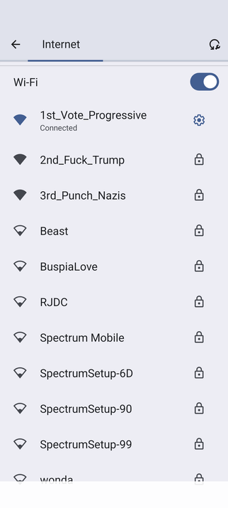 Name of my local Wi-Fi devices are:

1st Vote Progressive
2nd Fuck Trump
3rd Punch Nazis