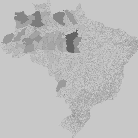 mapa do Brasil com divisões de municípios em cinza, mais escuros os municípios de área maior (a maior parte na região Norte, um ou outro na região centro-oeste.