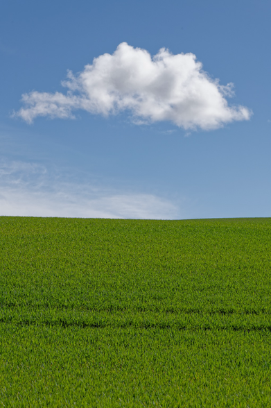 A hill covered in green grass under a beautiful blue sky with a single lovely cloud at its center.