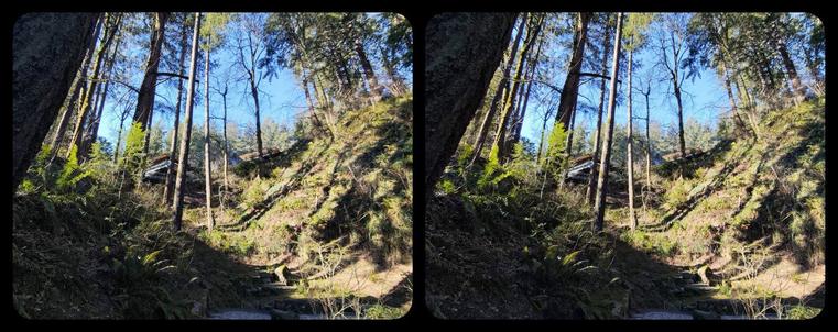 Looking up the hill toward the entrance of the Japanese garden. It's quite a steep walk.