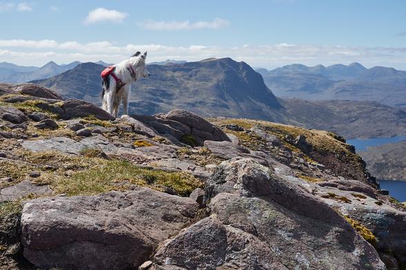 Skye on a rocky mountain summit looking down at the view. Behind her are many more mountain peaks and glimpses of lochs. It's still a fine day with few distant puffy clouds.