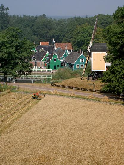 A scenic view of a traditional Dutch village with green and white houses, a windmill, and a field of wheat being harvested.
