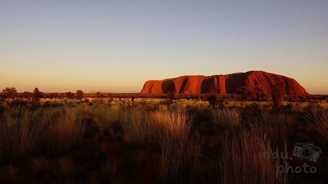 The image shows a large rock formation in a desert landscape, likely Uluru (Ayers Rock) in Australia. The rock has a reddish hue and is surrounded by dry grass and sparse vegetation, illuminated by warm, low-angle sunlight, suggesting it's either sunrise or sunset. The sky is clear with a light gradient.