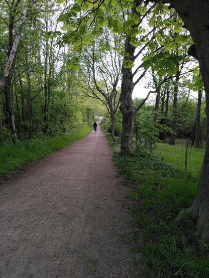 Good walking path, with a couple of #cyclists