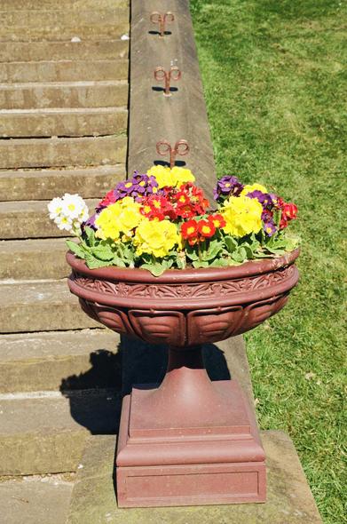 Spring flowers in an ornate terracotta pot