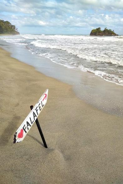 Wooden "Love Falafel" points to Cocles Beach island in Costa Ricas South Caribbean near Puerto Viejo, Limón.