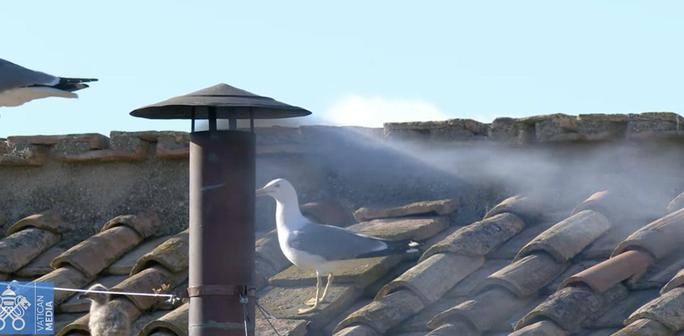 Photo fumée blanche de la cheminée du conclave à Rome au Vatican. La mouette et juste à côté (photo: Vatican Médias. Si si ça existe)
