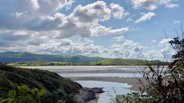 This picture showcases a scenic landscape of an estuary, near Portmeirion in Gwynedd, Wales. The foreground is framed by lush green foliage and some brown leaves, adding depth to the composition. Beyond the foliage, you see a sloping hill covered in dense greenery leading down to a rocky shoreline. The estuary itself features expansive sandbanks with meandering water channels, indicative of a low tide. In the background, rolling green hills stretch under a dramatic sky filled with scattered clouds, casting varied shadows and light over the landscape. The overall scene is serene and picturesque, capturing the natural beauty of the area.