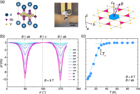 Probing orbital magnetism of a kagome metal CsV3Sb5 by a tuning fork resonator