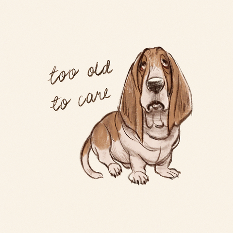 A cartoony basset hound sitting next to a cursive text that reads: too old to care
