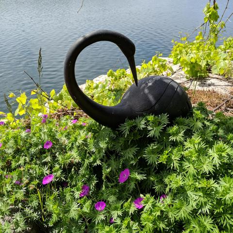 A photo with some pink flowers, a bronze colored yard art bird that is long necked and long pointy bill arched back to it's back, a grape vine, sedum or stonecrop, grass, all on a large solid granite outcrop of bedrock next to the water.