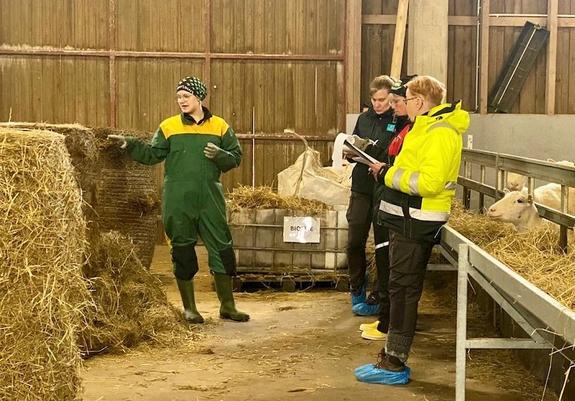 Finland’s top young professionals awarded at Turku skills championships