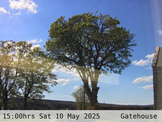 Photograph of sycamore trees against the sky with low hills in the background at 15:00 hrs on Saturday 10 May 2025, located at Gatehouse in Tarset, Upper North Tyne, Northumberland, UK. The immediate forecast is sunny.