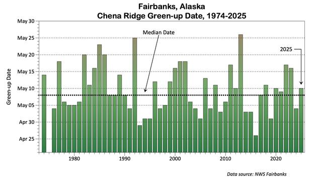 Bar graph of the date of green-up of Chena Ridge 1974-2025 (1975 missing). Green-up is defined as when birch and aspen trees leaves unfurl and the hillside appears distinctly green-tined from a distance (in this case  as seen from UAF West Ridge, a couple miles away).