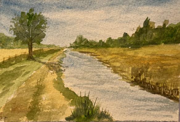 A calm stream stretches into the distance between two gently sloping banks, with a single tree casting a long shadow on the left side of the path.