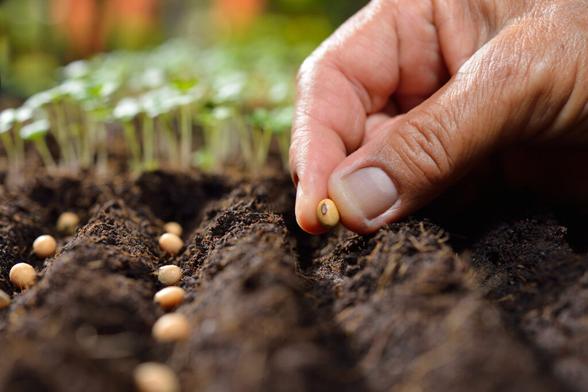 Imagine how much money you could save by producing even a portion of your food at home.
