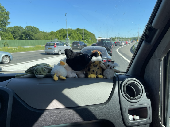 Die Plüschies Cassiopea, Kwak, Beshie, Chaplin und Hedi auf dem Armaturenbrett, dahinter eine zweispurige Autoschlange