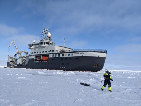 Polona leaving Kronprins Haakon (icebreaker in the centre of shot) behind, skiing out on sea ice towing an electromagnetic induction sounder and making snow depth measurements every metre or so with a Magnaprobe (the long stick thing she's carrying)