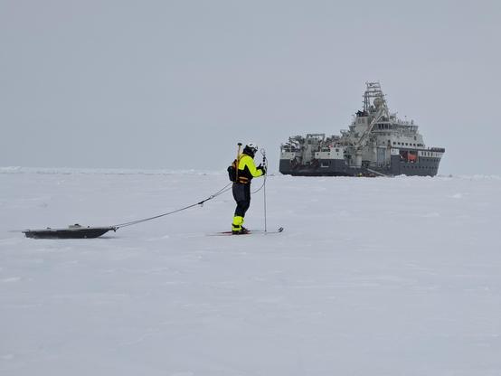 Polona heading back toward RV Kronprins Haakon (icebreaker in the background), towing an electromagnetic induction sounder and making snow measurements with a magnaprobe