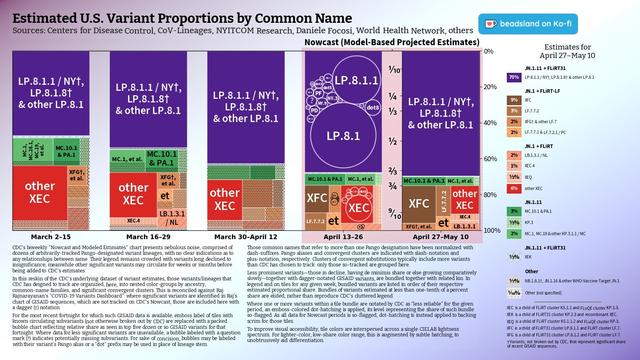 Chart: Estimated U.S. Variant Proportions by Common Name
Sources: CDC, Cov-Lineages, NYITCOM, D. Focosi, WHN, others

[ beadsland on Ko-fi ]

Reskin of CDC's Variants Nowcast, and any significant variants in GISAID not broken out by CDC.

Five bar-style tree-charts, for fortnights through 4/27–5/10. Legend of last fortnight, organized by subheadings of color-grouped families and convergent clusters. Percentages overlay each color key, reflecting share as of most recent tree-chart.

LP.8.1 accounts for over two thirds.

For 4/13–4/26, packed bubble charts fill single-variant tiles, reflecting GISAID detail not shown by CDC's Nowcast.

Legend:

JN.1.11 + FLiRT31 [purple]:
70% - LP.8.1.1 / NY†, LP.8.1.8† & other LP.8.1

JN.1 + FLiRT-LF [browns]:
9% - XFC
3% - LF.7.7.2
2% - XFG† & other LF.7
2% - LF.7.7.1 & LF.7.2.1 / PC

JN.1 + FLiRT [reds]:
2% - LB.1.3.1 / NL
1% - XEC.4
½% - XEQ
6% - other XEC

JN.1.11 [greens]:
3% - MC.10.1 & PA.1
⅓% - KP.3
2% - MC.1, MC.19 & other KP.3.1.1 / MC

JN.1.11 + FLiRT31 [blue]:
⅓% - XEK

Other [greys]:
⅐% - NB.1.8.1†, JN.1.16 & other WHO-Vaccine-Target JN.1
⅒% - Other (not specified)

_____


XEC is a child of FLiRT cluster KS.1.1 and FLuQE cluster KP.3.3.

XEK is a child of FLiRT31 cluster KP.2.3 and recombinant XEC.

XEQ is a child of FLiRT cluster KS.1.1.2 and FLuQE cluster KP.3.

XFC is a child of FLiRT31 cluster LP.8.1.1 and FLiRT cluster LF.7.

XFG is a child of FLiRT31 cluster LP.8.1.2 and FLiRT cluster LF.7.

[Add'l footnotes omitted.]