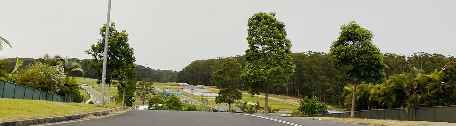 Koala habitat: Bongil Bongil National Park interface