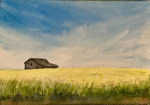 A small, weathered building sits alone at the edge of a vast, open field, with tall grasses in the foreground and an expansive sky stretching above.