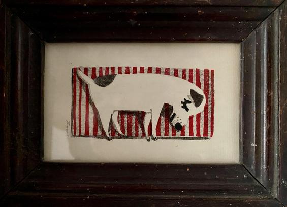 A black and white dog sleeping on a vertically, red and white striped rug